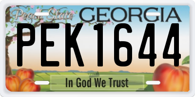 GA license plate PEK1644