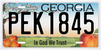 GA license plate PEK1845
