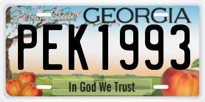 GA license plate PEK1993