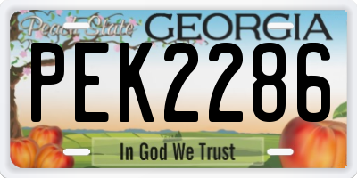 GA license plate PEK2286