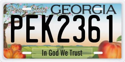 GA license plate PEK2361