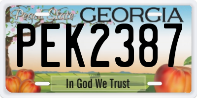 GA license plate PEK2387