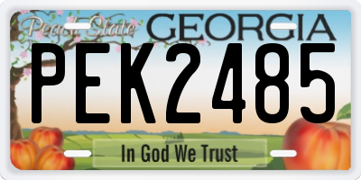 GA license plate PEK2485