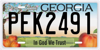 GA license plate PEK2491