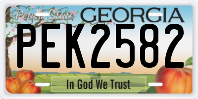 GA license plate PEK2582