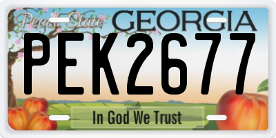 GA license plate PEK2677
