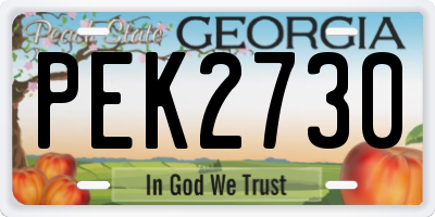 GA license plate PEK2730