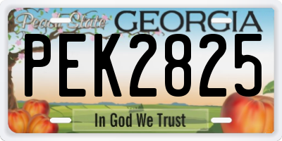 GA license plate PEK2825