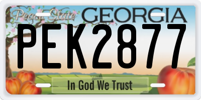 GA license plate PEK2877