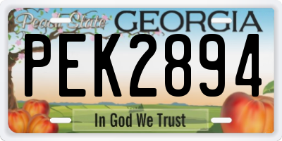 GA license plate PEK2894