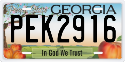 GA license plate PEK2916