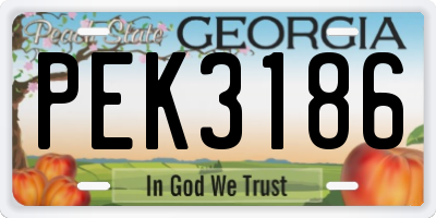 GA license plate PEK3186