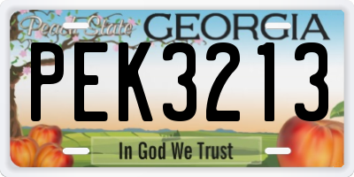 GA license plate PEK3213