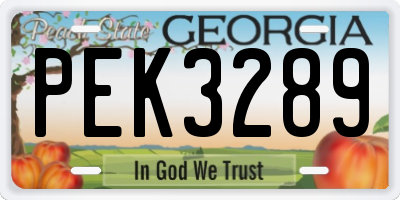 GA license plate PEK3289