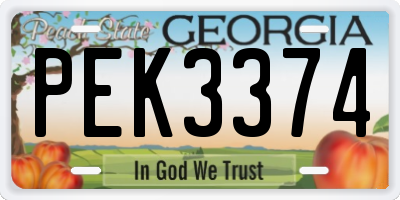 GA license plate PEK3374