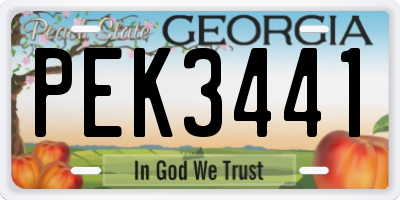 GA license plate PEK3441