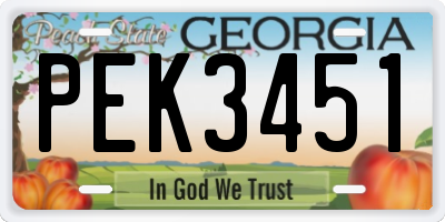 GA license plate PEK3451