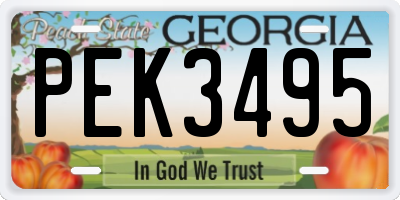 GA license plate PEK3495