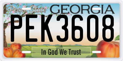 GA license plate PEK3608