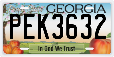 GA license plate PEK3632