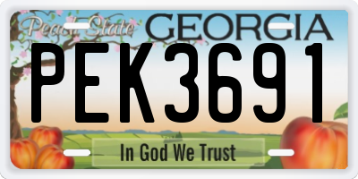 GA license plate PEK3691