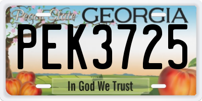 GA license plate PEK3725