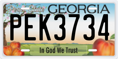 GA license plate PEK3734