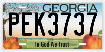 GA license plate PEK3737