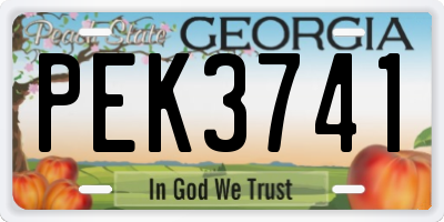 GA license plate PEK3741
