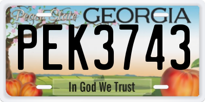 GA license plate PEK3743