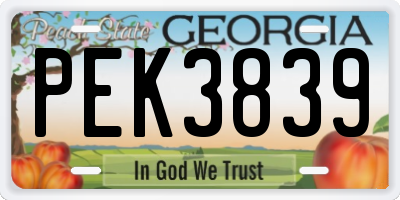 GA license plate PEK3839