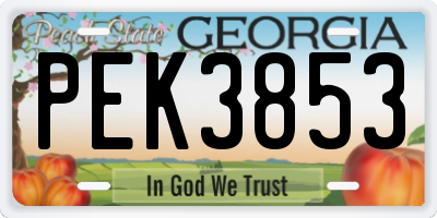 GA license plate PEK3853