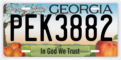 GA license plate PEK3882