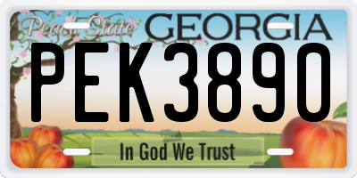 GA license plate PEK3890