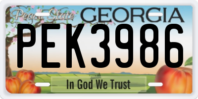 GA license plate PEK3986