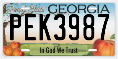 GA license plate PEK3987