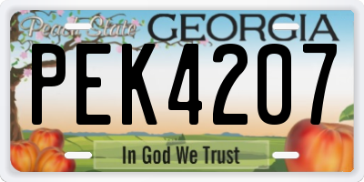 GA license plate PEK4207