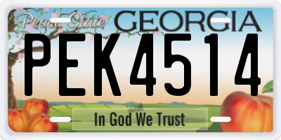 GA license plate PEK4514