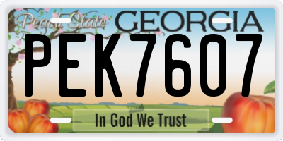 GA license plate PEK7607