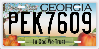GA license plate PEK7609
