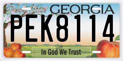GA license plate PEK8114