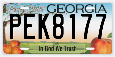 GA license plate PEK8177
