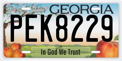 GA license plate PEK8229