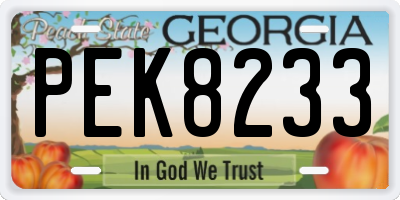GA license plate PEK8233