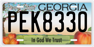 GA license plate PEK8330