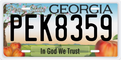 GA license plate PEK8359