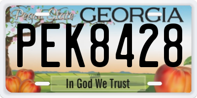 GA license plate PEK8428