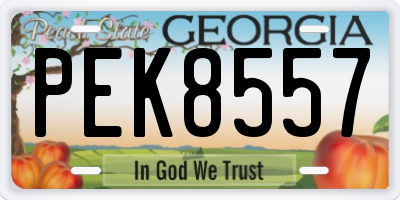GA license plate PEK8557
