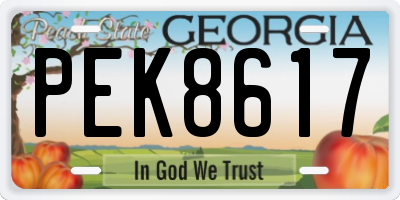 GA license plate PEK8617