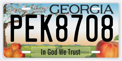 GA license plate PEK8708
